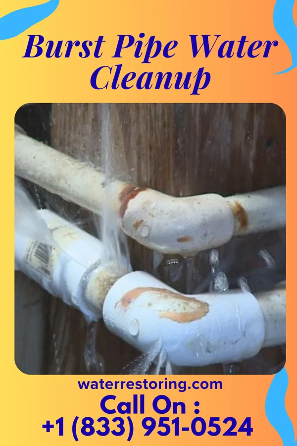 Burst Pipe Water Cleanup in Buckhall, VA