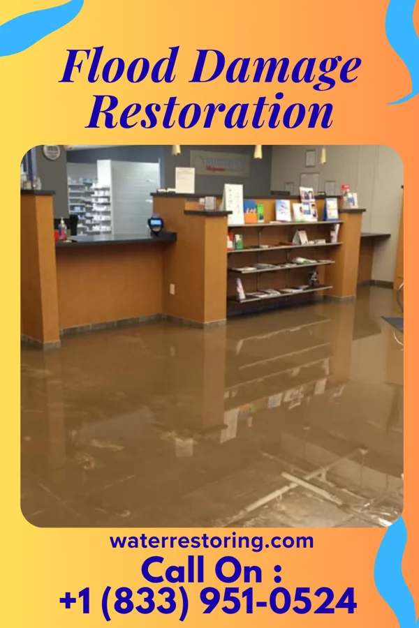 Flood Damage Restoration in Buckhall, VA