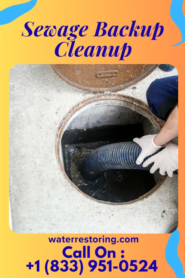 Sewage Backup Cleanup in Buckhall, VA