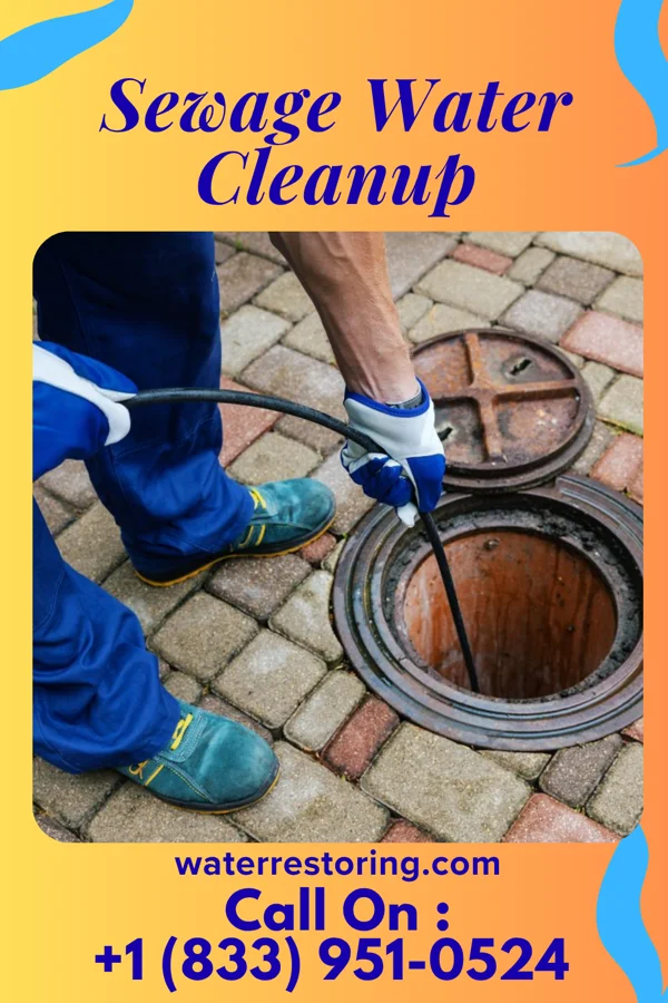 Sewage Water Cleanup in Buckhall, VA