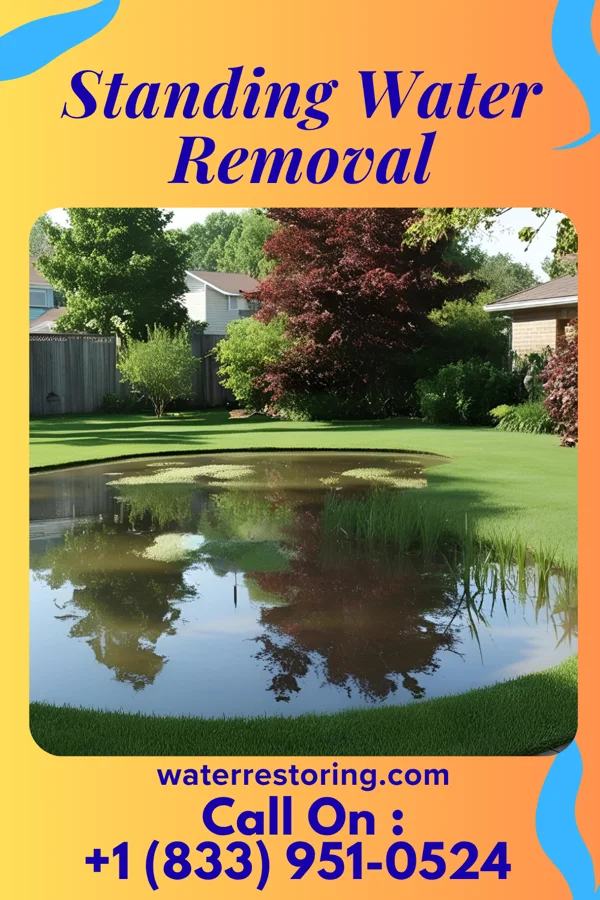 Standing Water Removal in Buckhall, VA